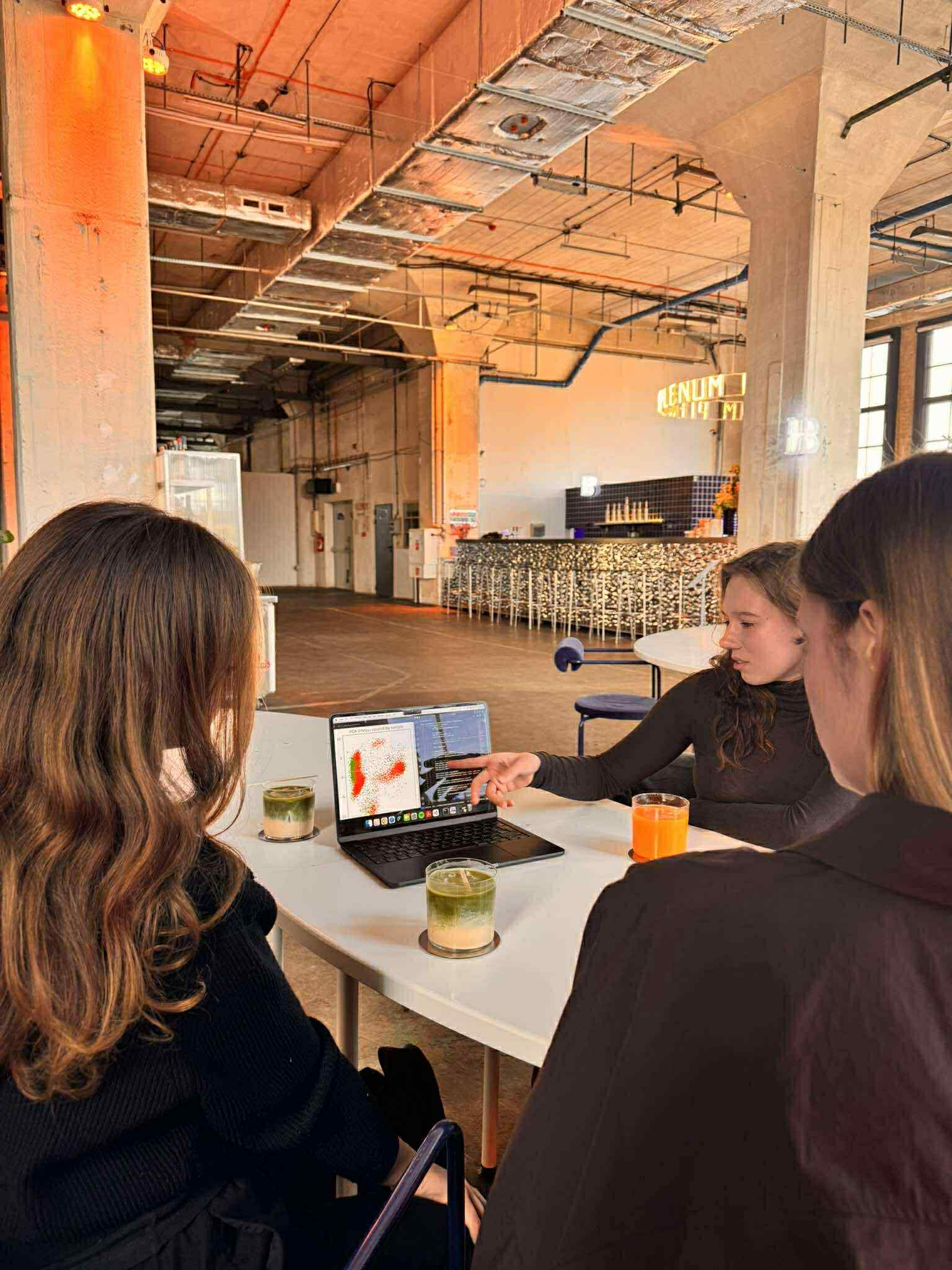 Sarovi team working session